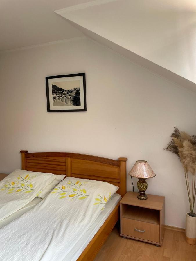 Apartments Vila Hercegovina Višegrad 外观 照片